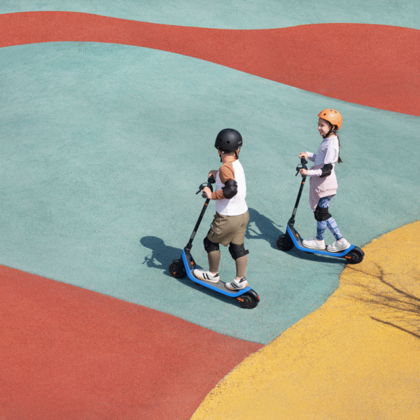 Segway Ninebot Kickscooter C2 Lite