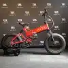 MATE X Caribbean Coral Demo Model