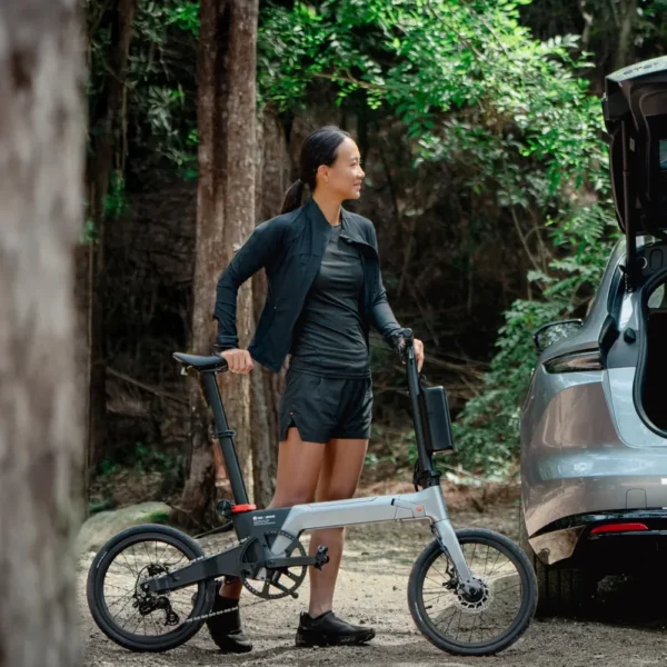Lemmo Zero Space Grey E-bike - Afbeelding 9