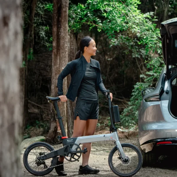 Lemmo Zero Grey E-bike - Afbeelding 5